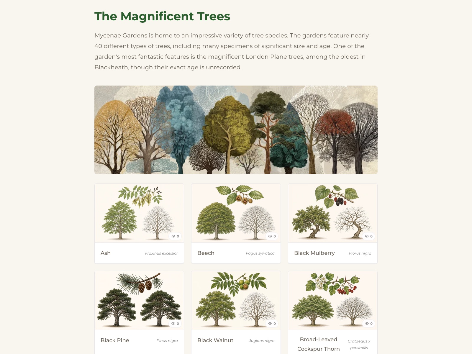 The Magnificent Trees section: illustrated tree cards showing each species in summer and winter form