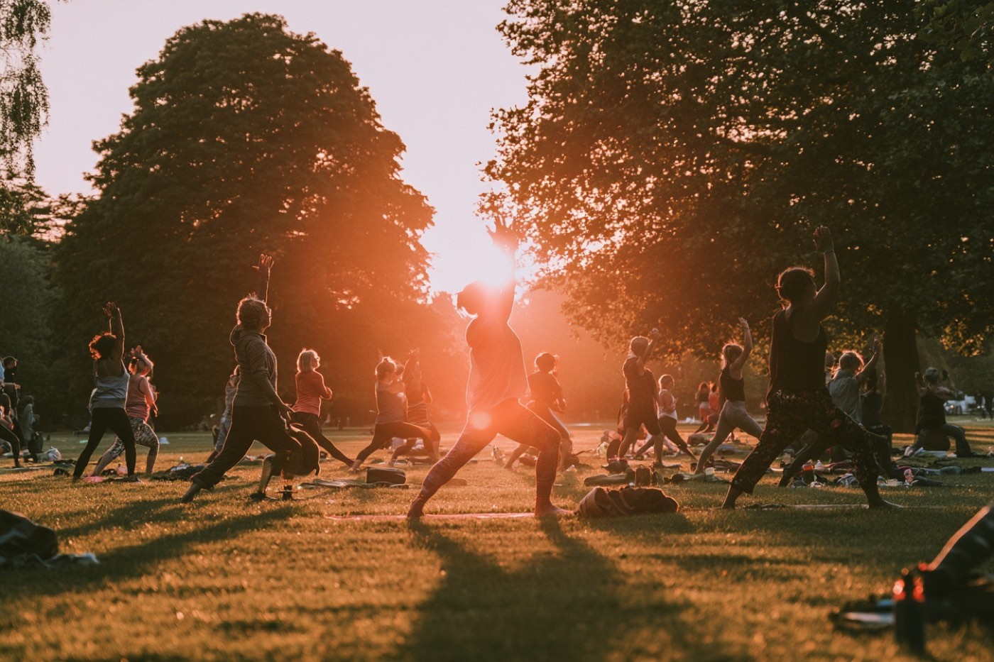 Shaping Up — friendly local walks and runs