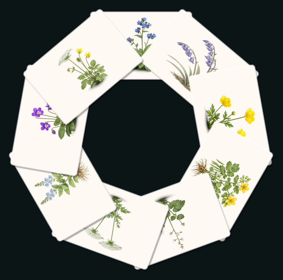 All nine illustrated plant plates arranged in a circle